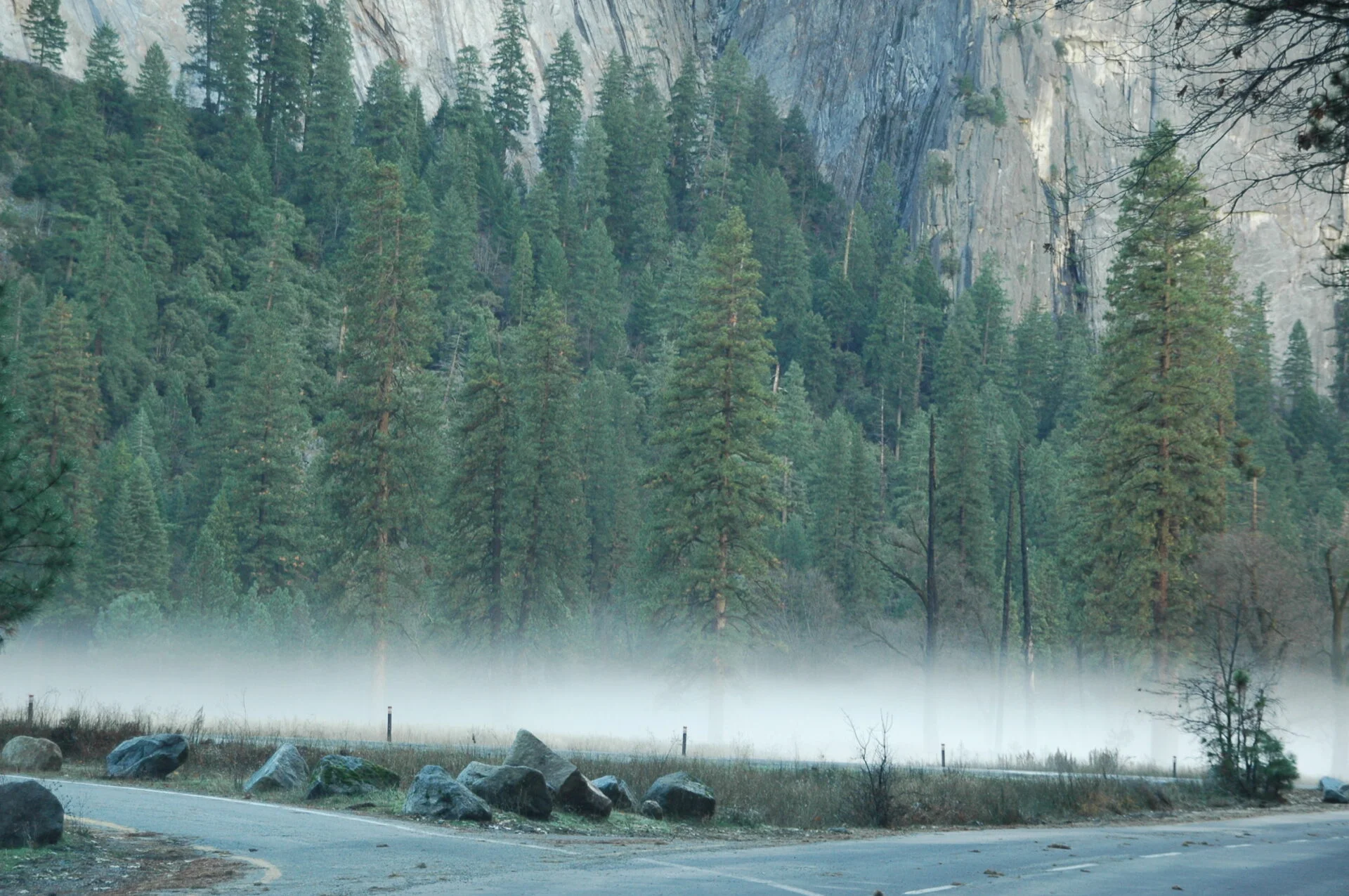 Yosemite National Park