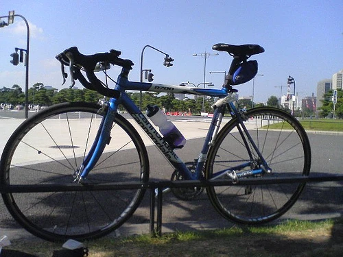 運動しまくった（と思う）