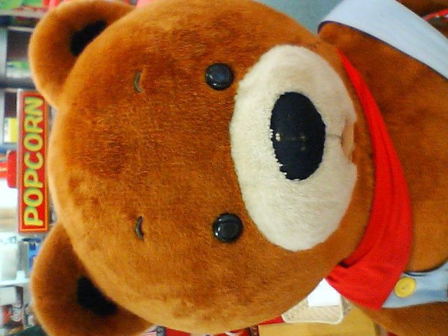 写真～　いろいろ