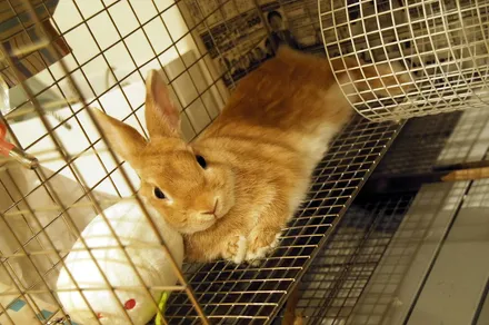 Cover Image of the Post