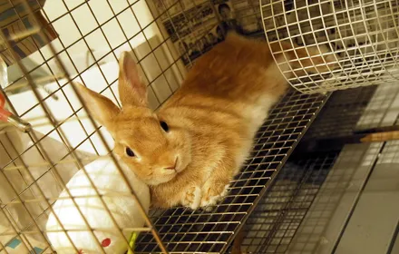 Cover Image of the Post