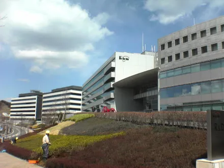 Cover Image of the Post