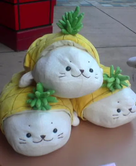 Cover Image of the Post