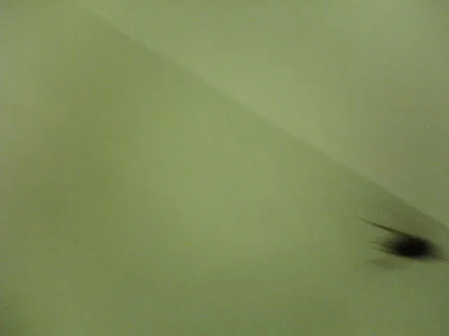 タイ旅行の写真11