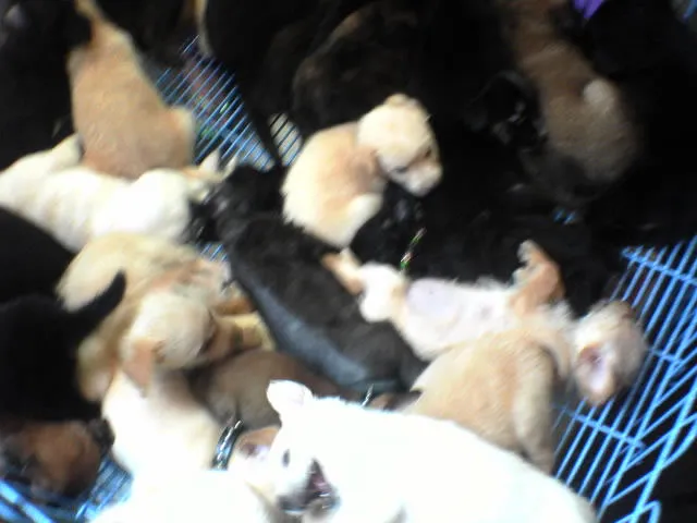 タイ旅行の写真19