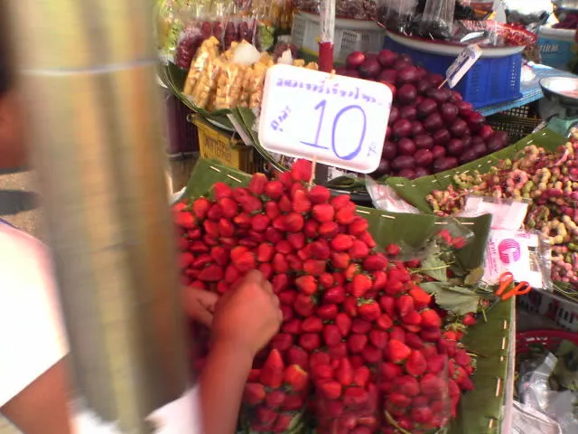 タイ旅行の写真23