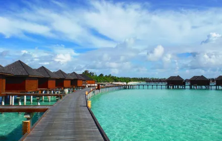 Cover Image of the Post