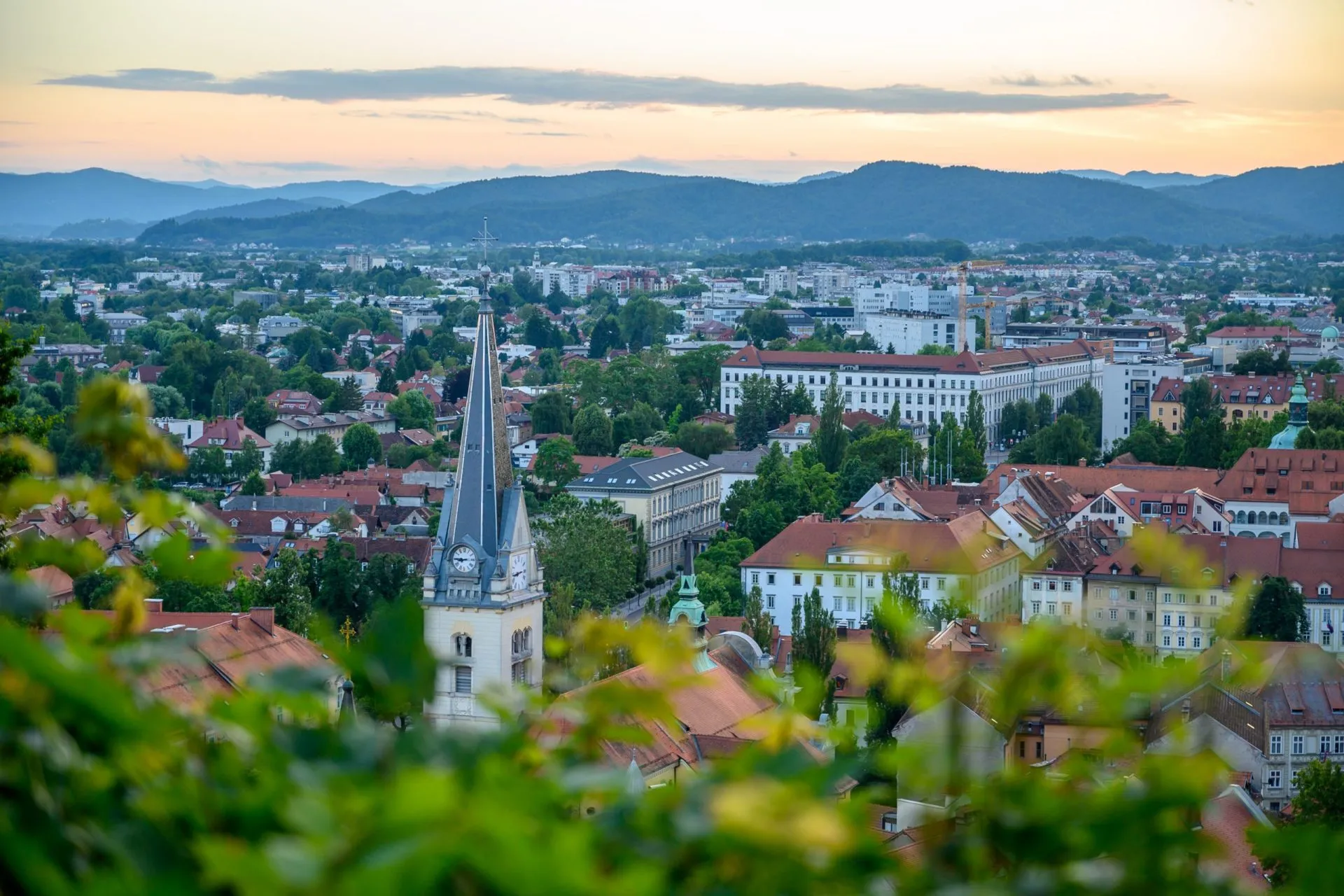 丘の上からの絶景