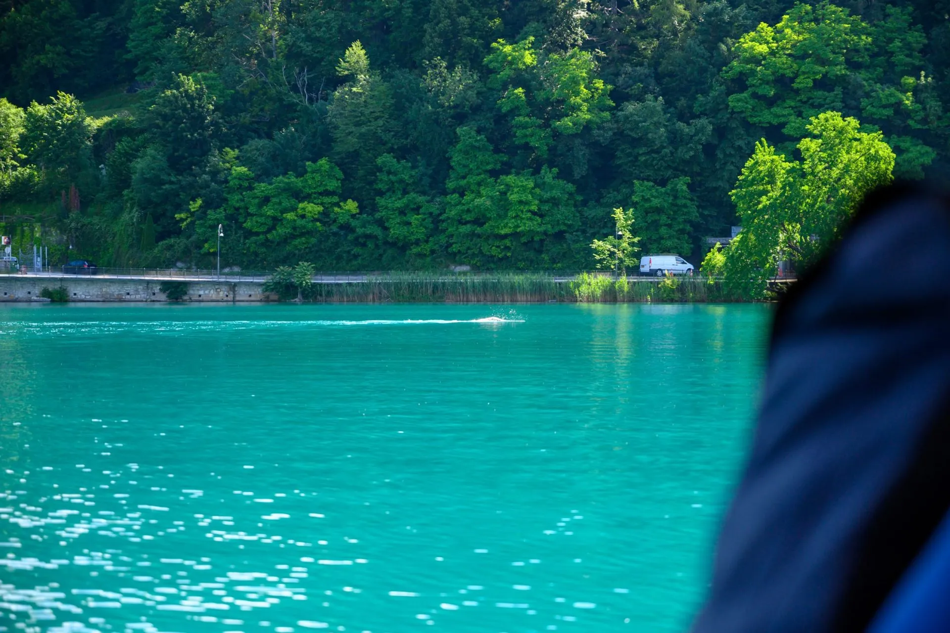 ブレッド湖で泳ぐ人々