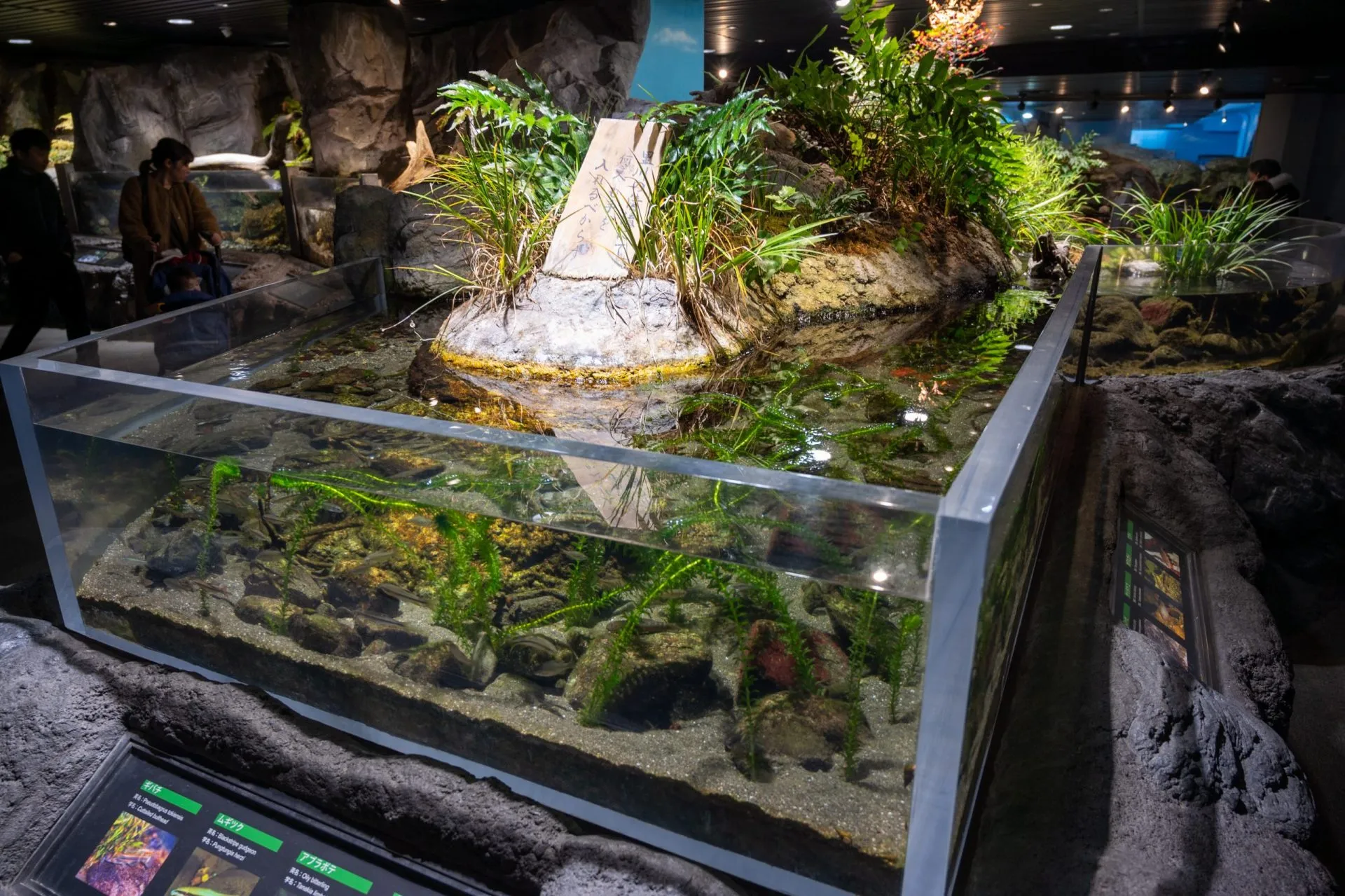 鴨川シーワールドの展示