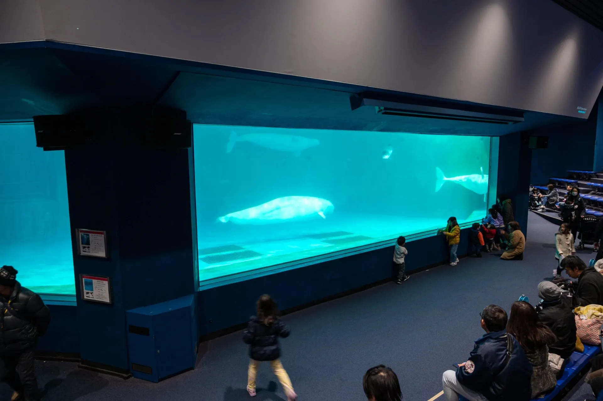 鴨川シーワールドの展示