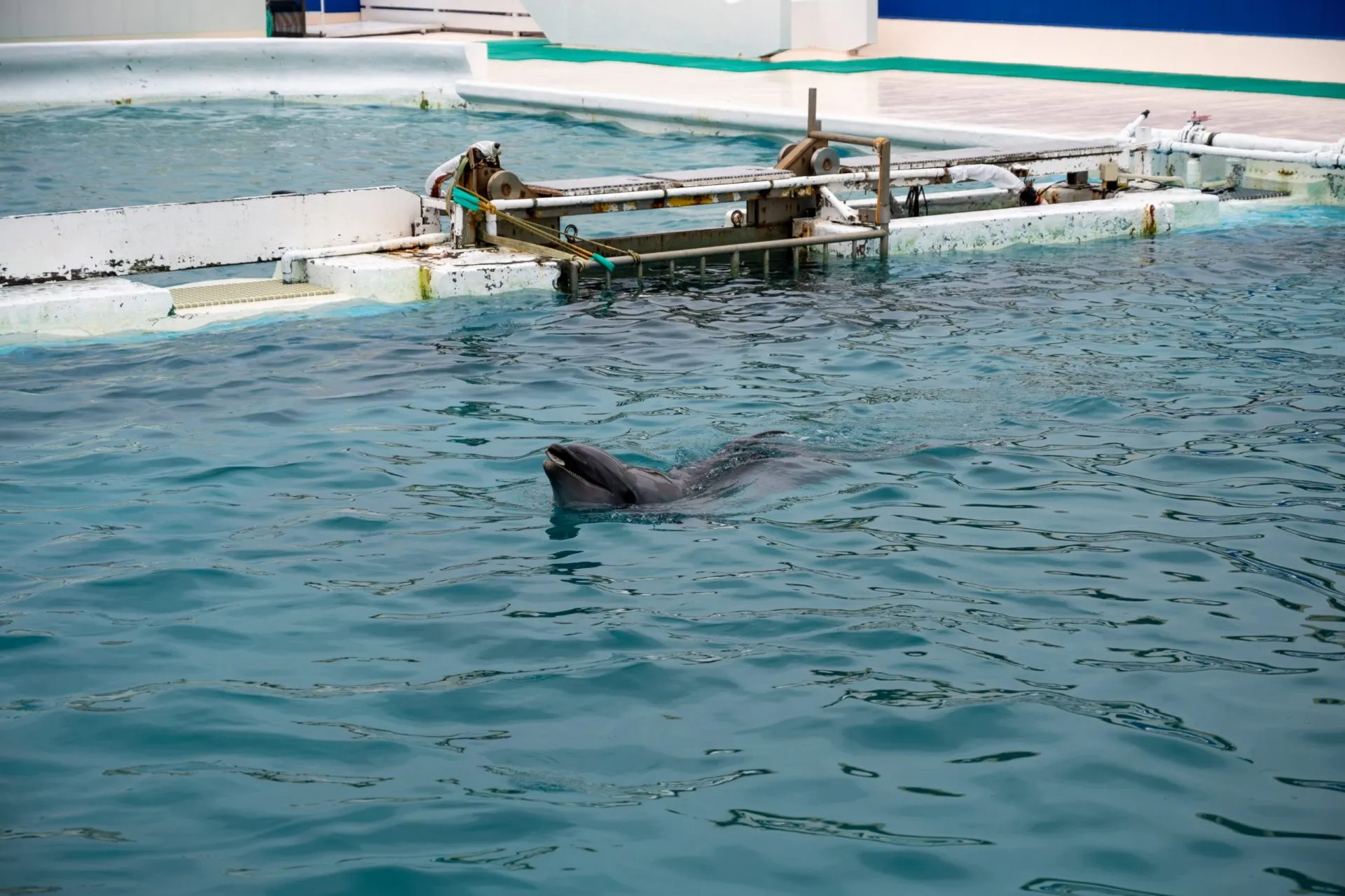 鴨川シーワールドの展示