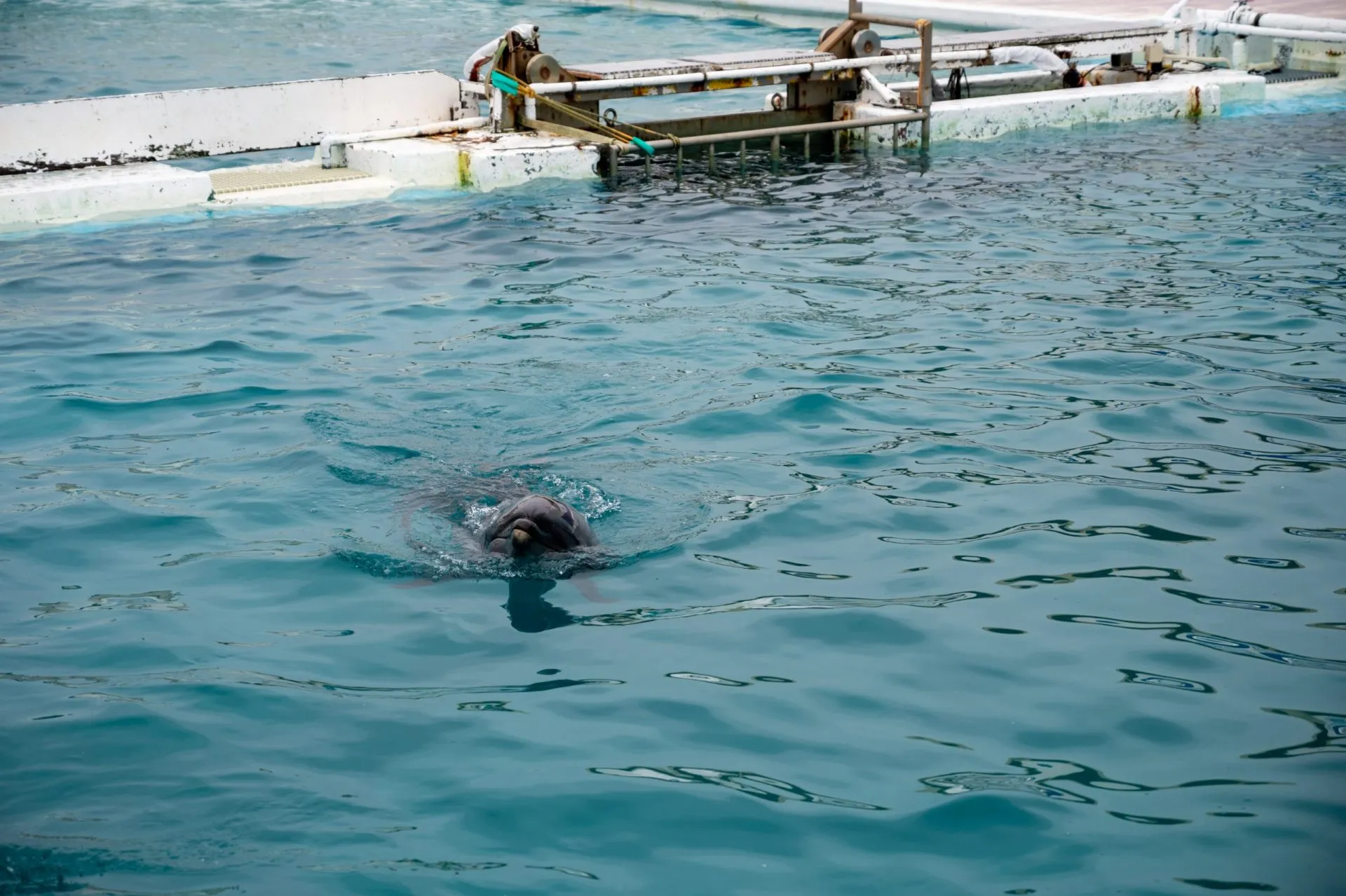 鴨川シーワールドの展示