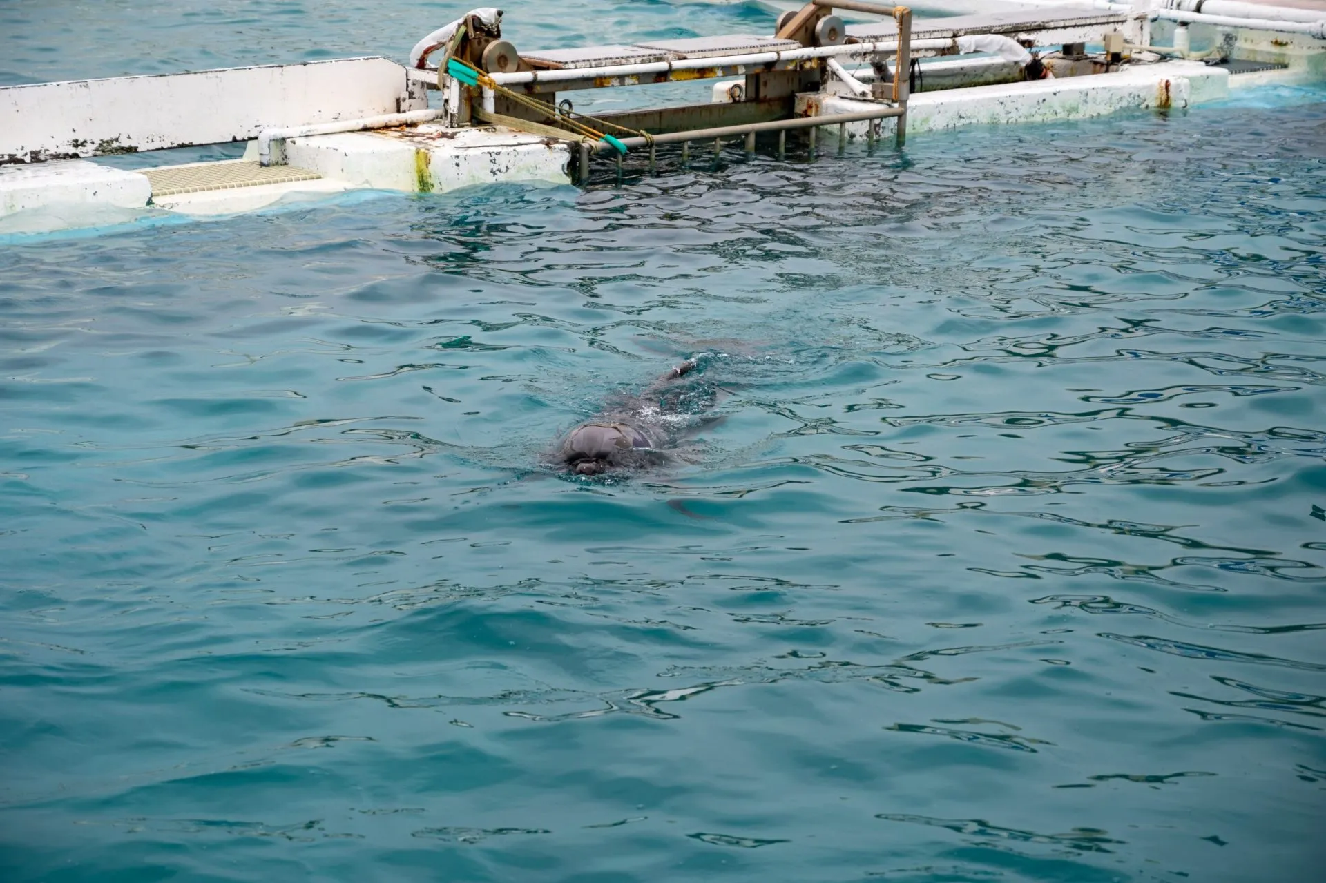 鴨川シーワールドの展示