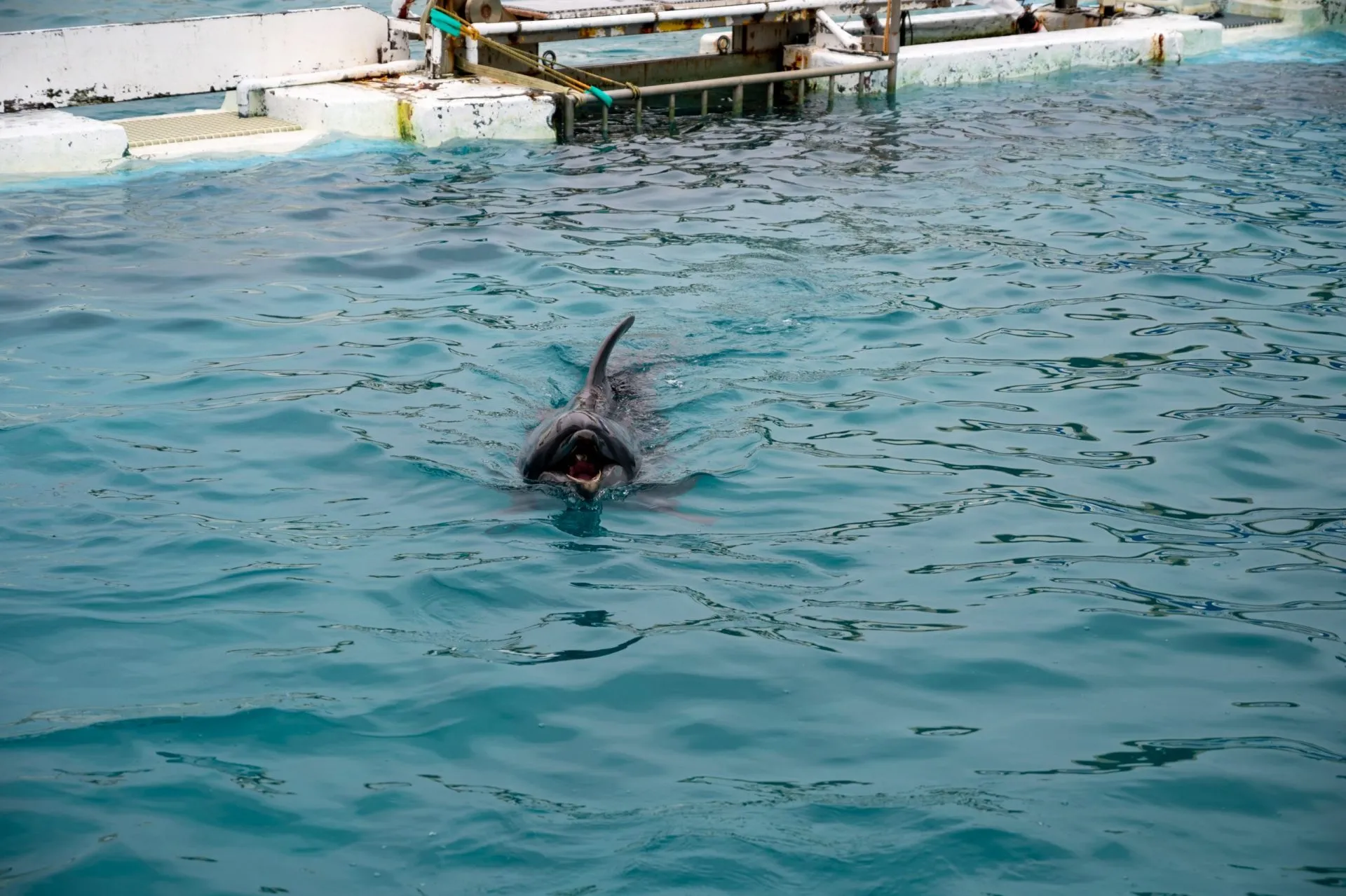 鴨川シーワールドの展示