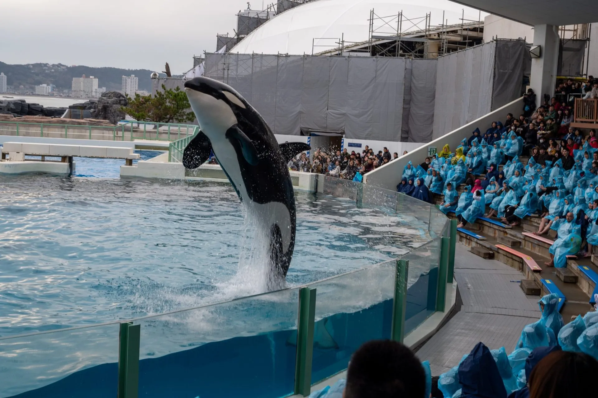 鴨川シーワールドの展示