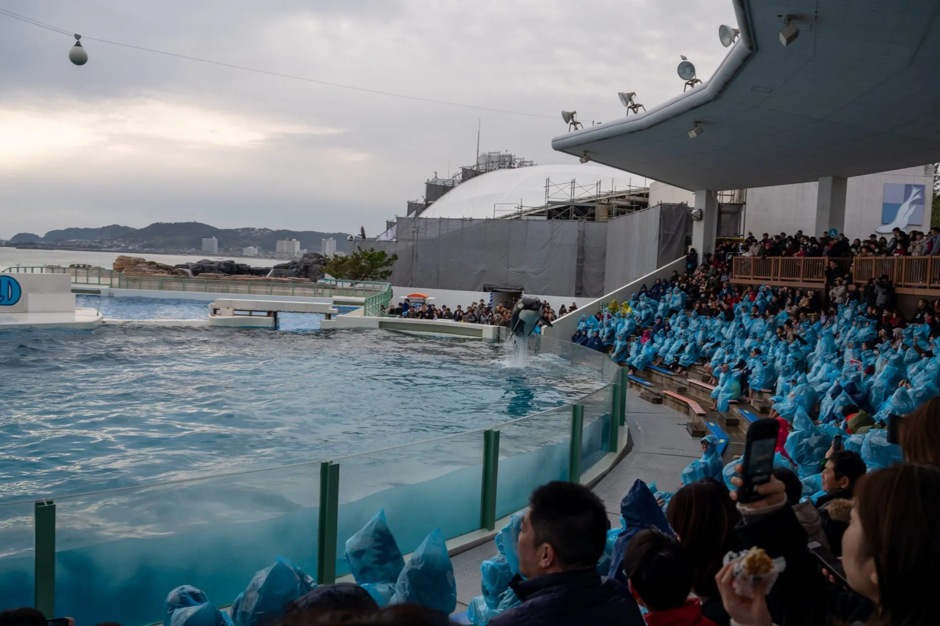 鴨川シーワールドの展示