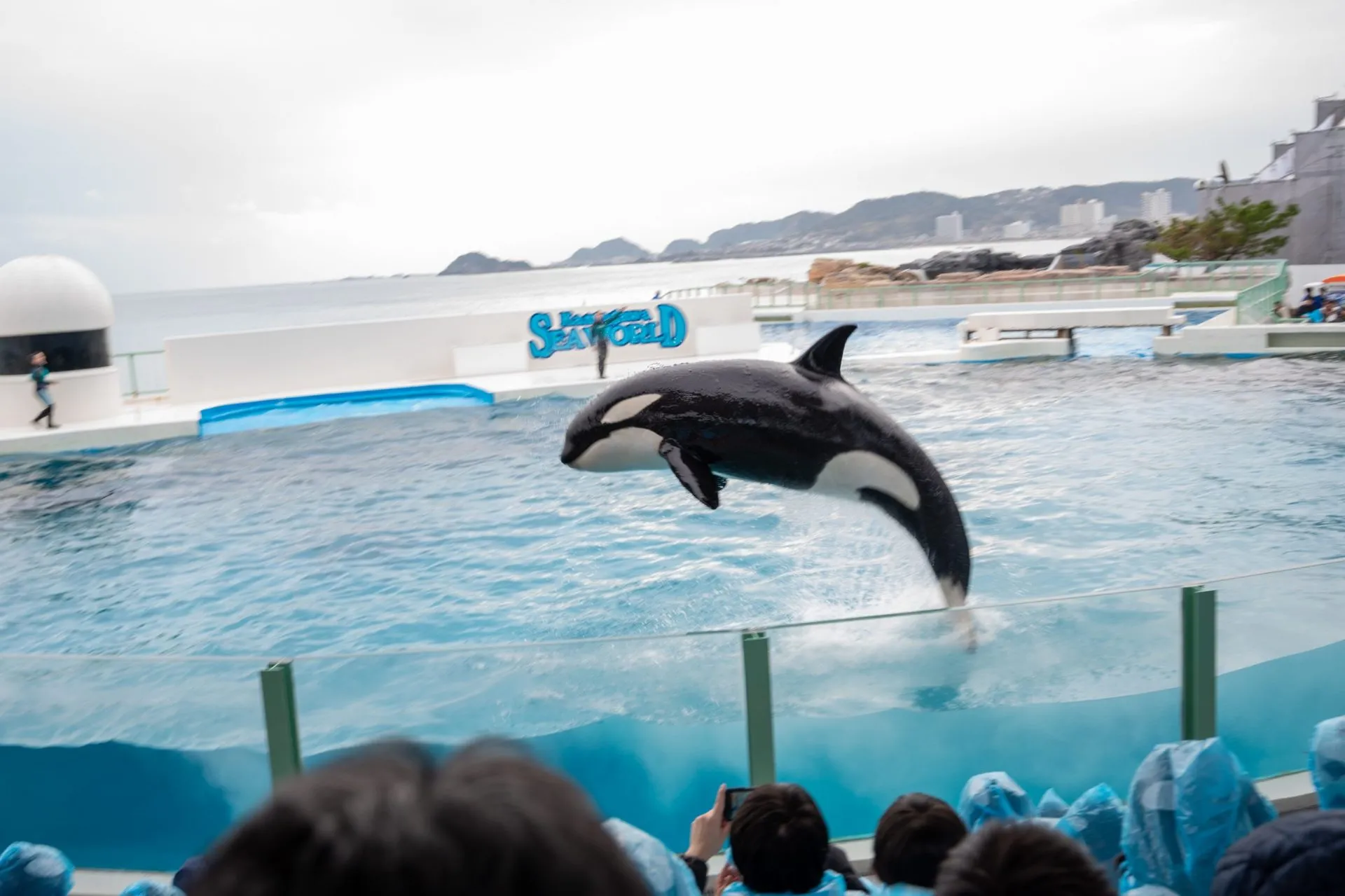 鴨川シーワールドの展示