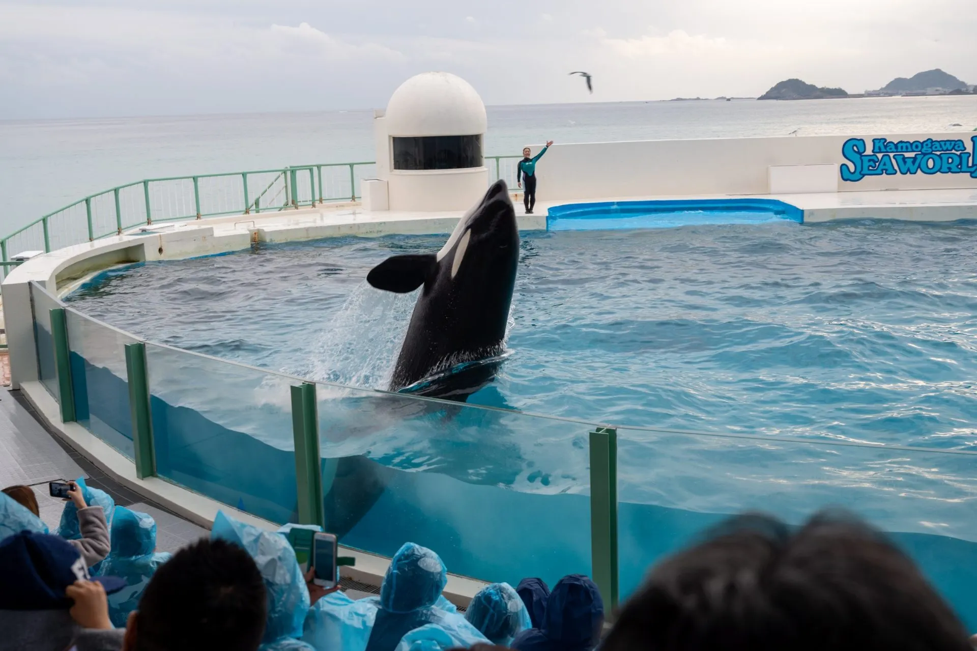 鴨川シーワールドの展示