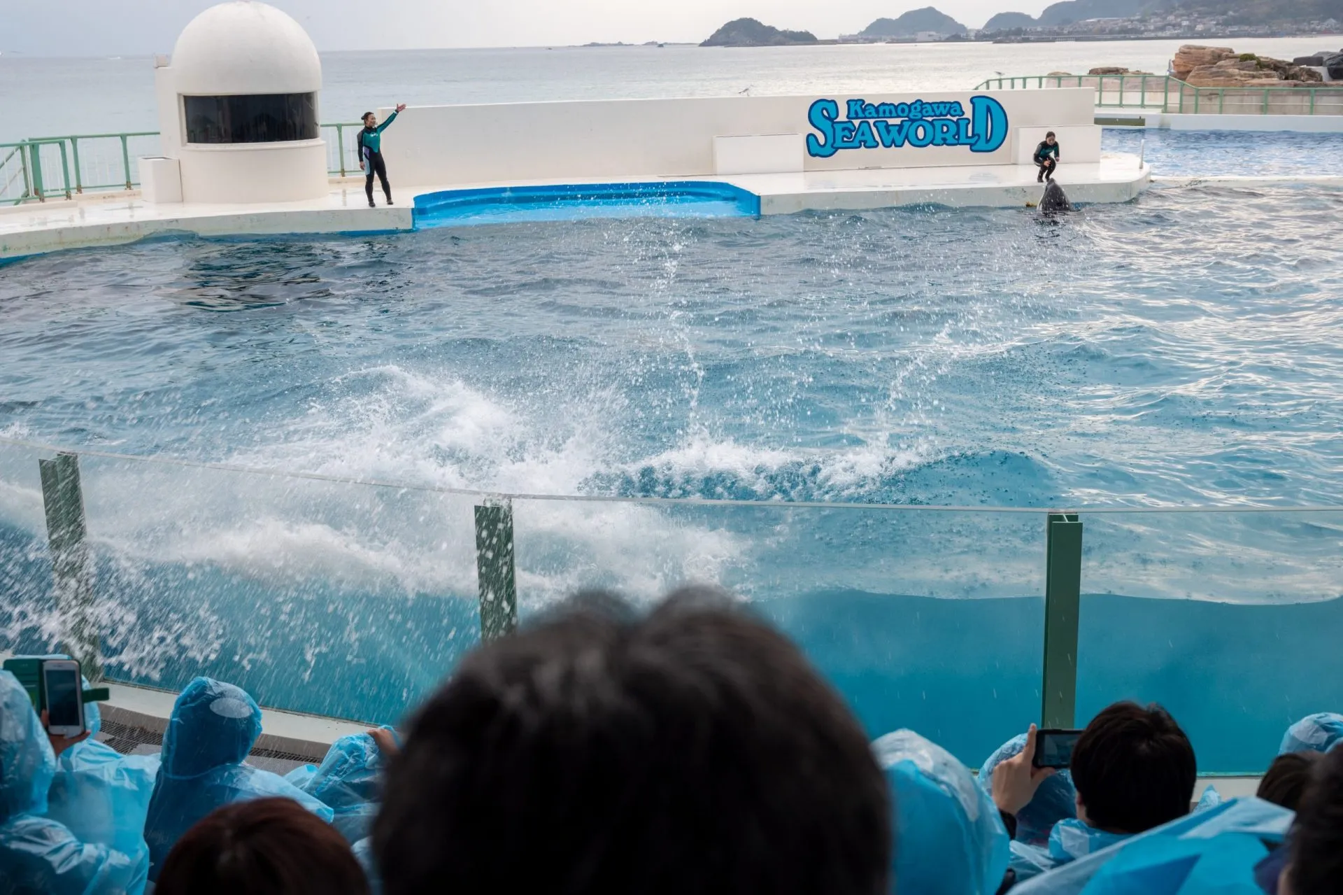 鴨川シーワールドの展示