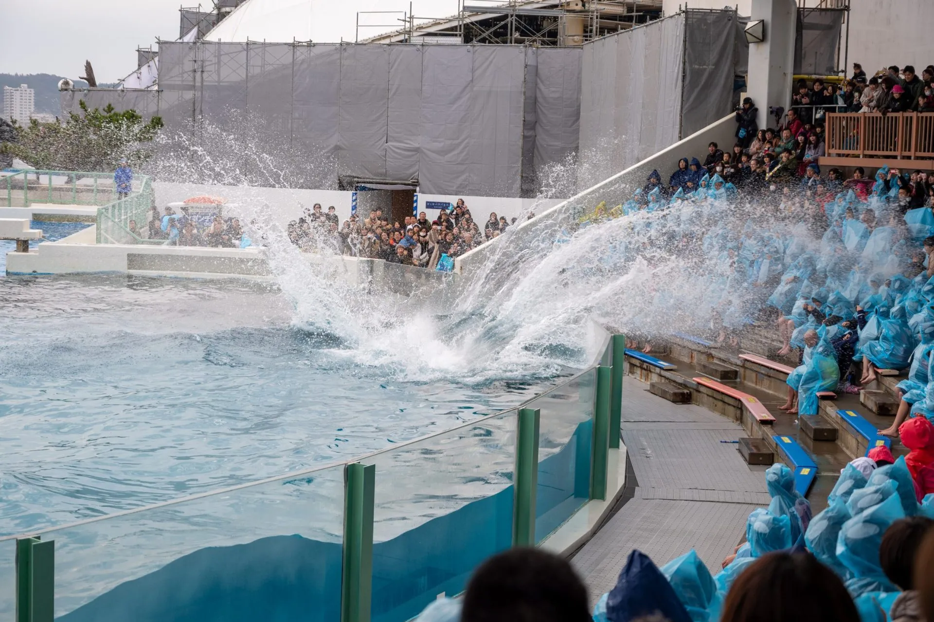 鴨川シーワールドの展示