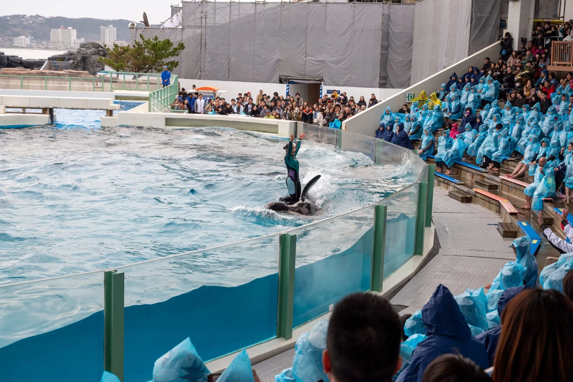鴨川シーワールドの展示