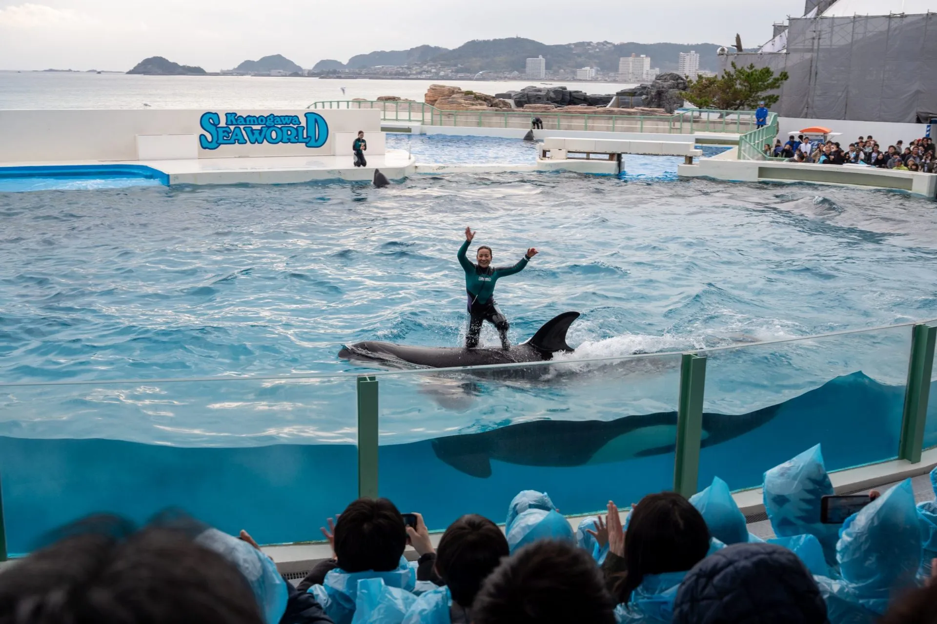 鴨川シーワールドの展示