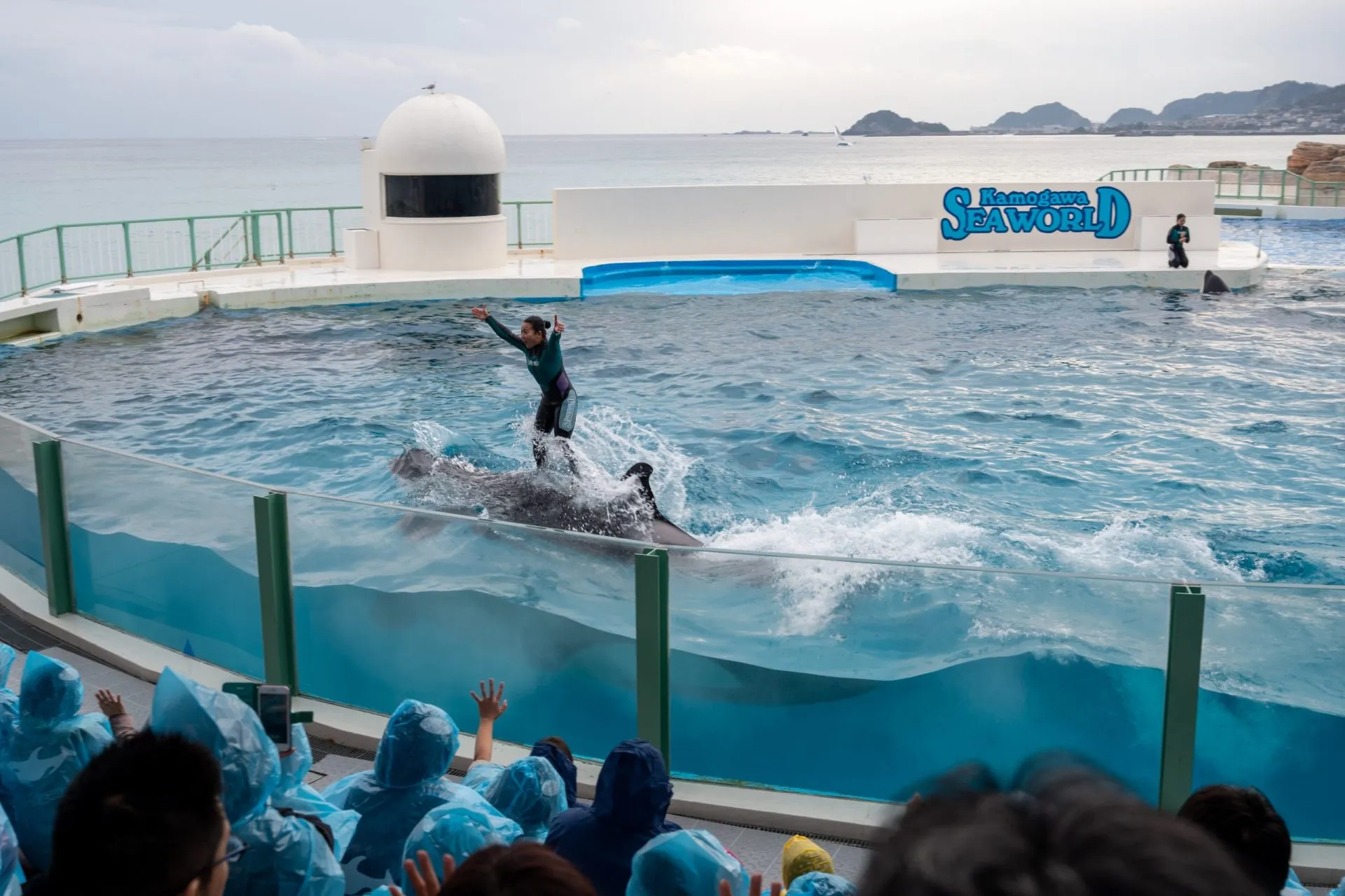 鴨川シーワールドの展示