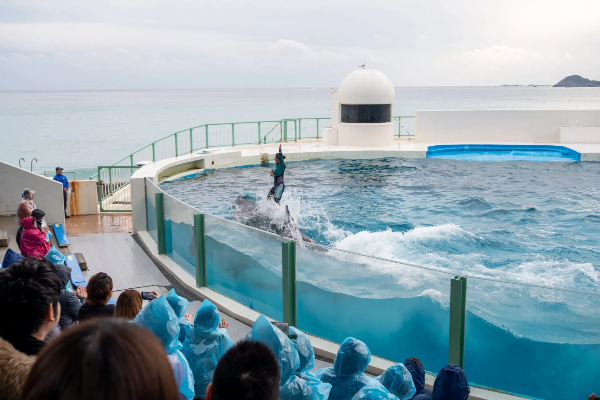 鴨川シーワールドの展示