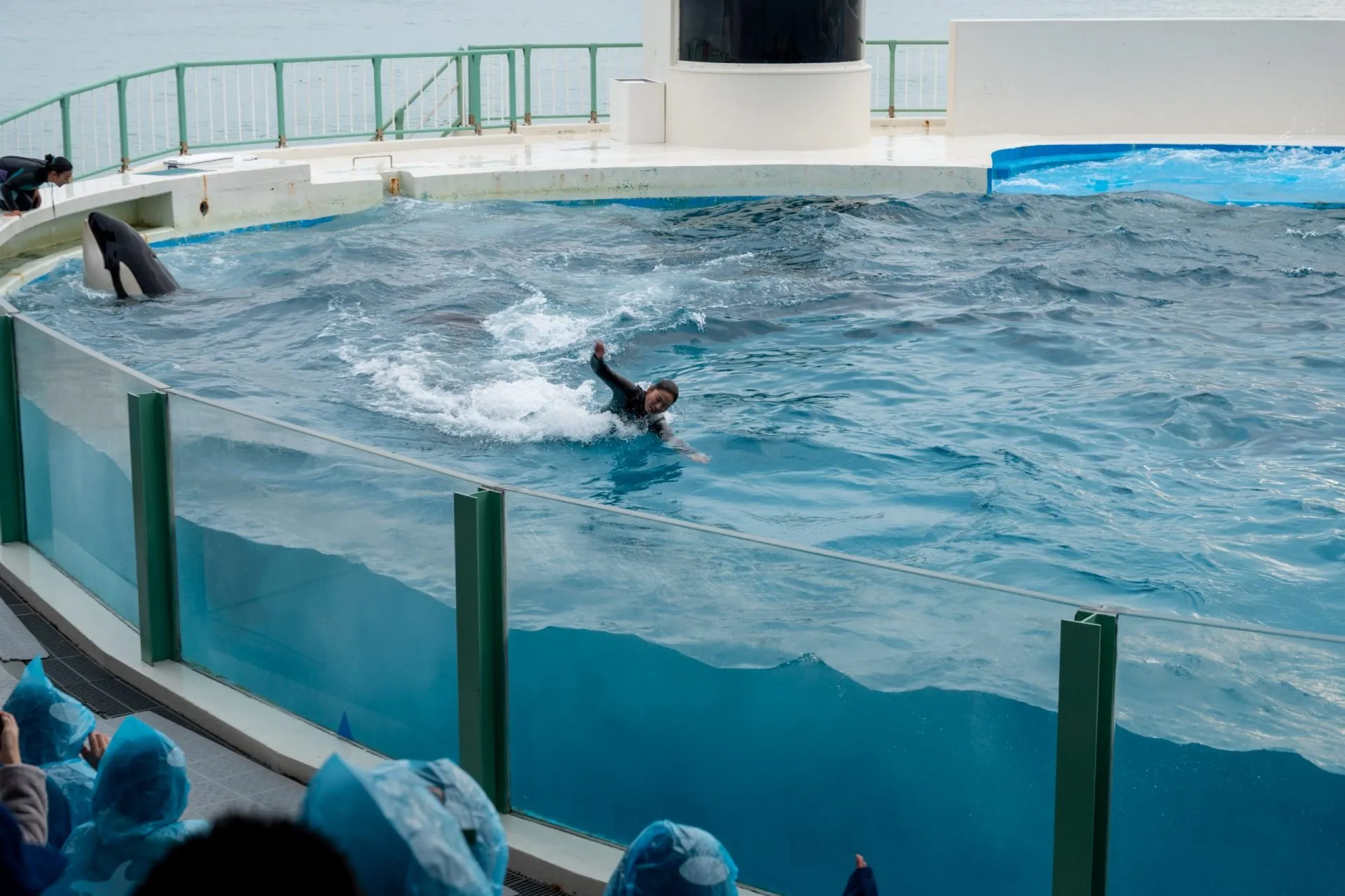 鴨川シーワールドの展示