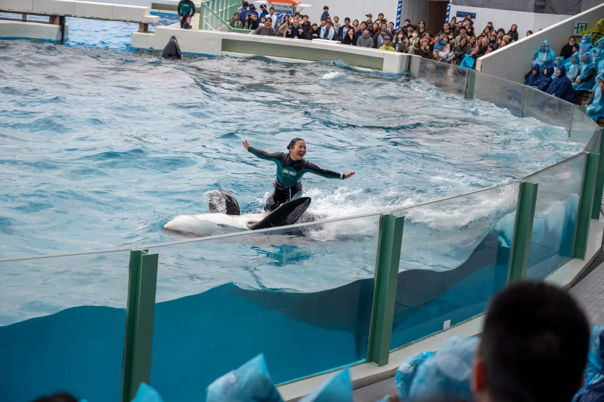 鴨川シーワールドの展示
