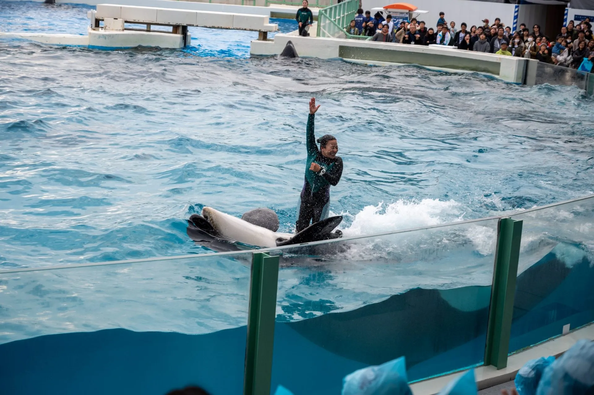 鴨川シーワールドの展示