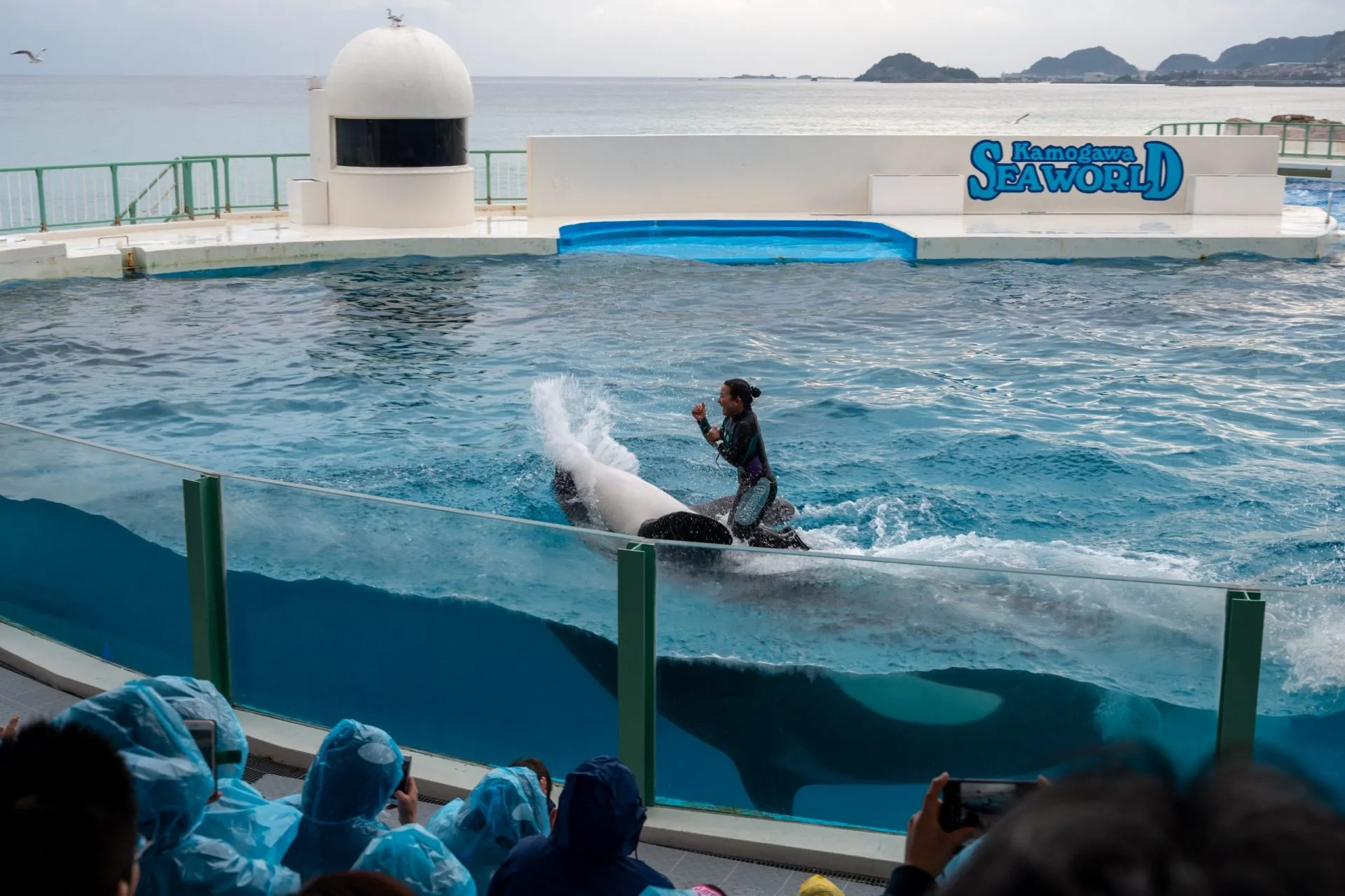 鴨川シーワールドの展示