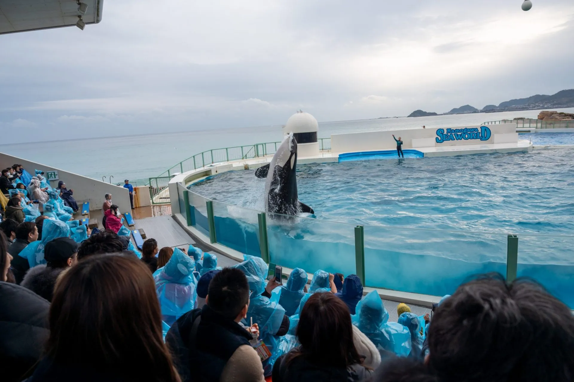 鴨川シーワールドの展示