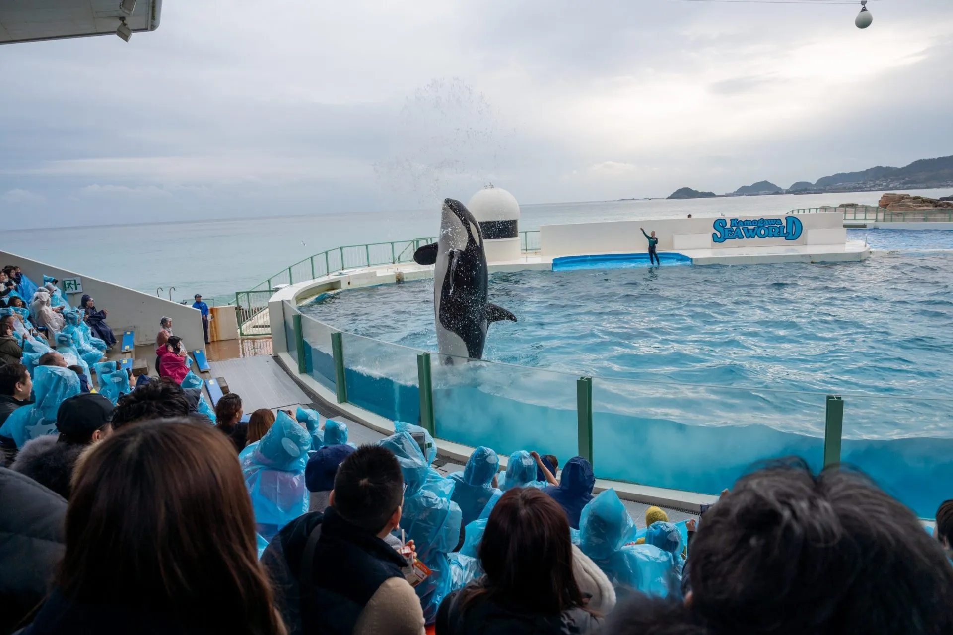 鴨川シーワールドの展示
