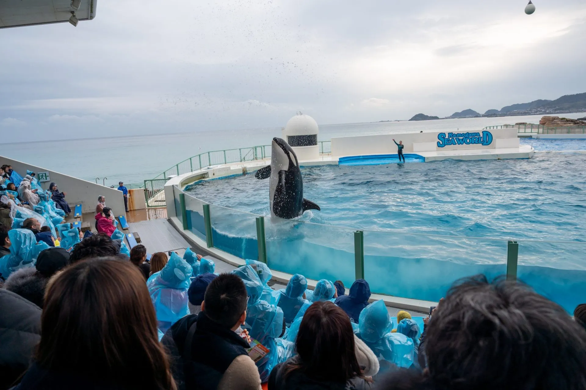 鴨川シーワールドの展示