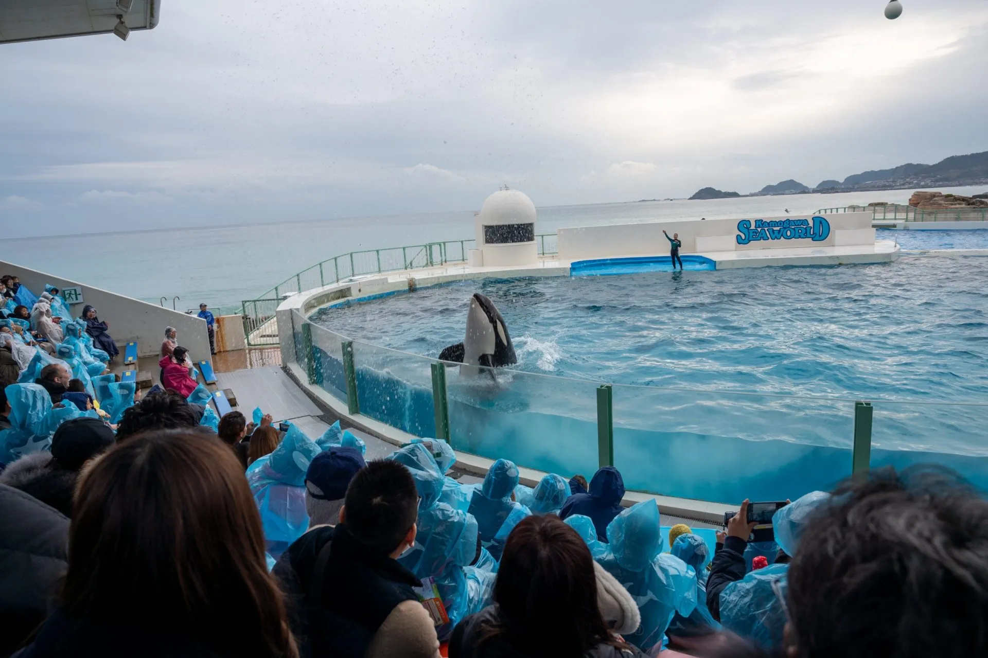 鴨川シーワールドの展示