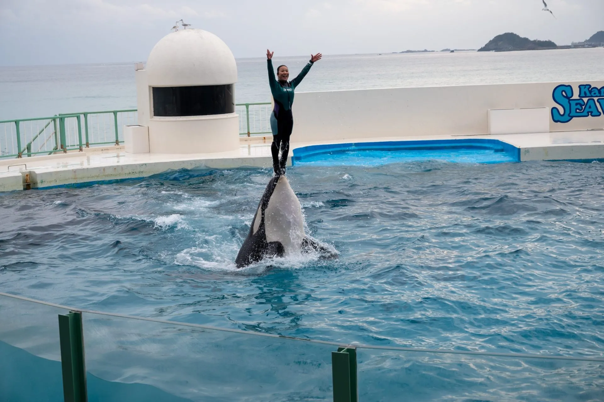 鴨川シーワールドの展示