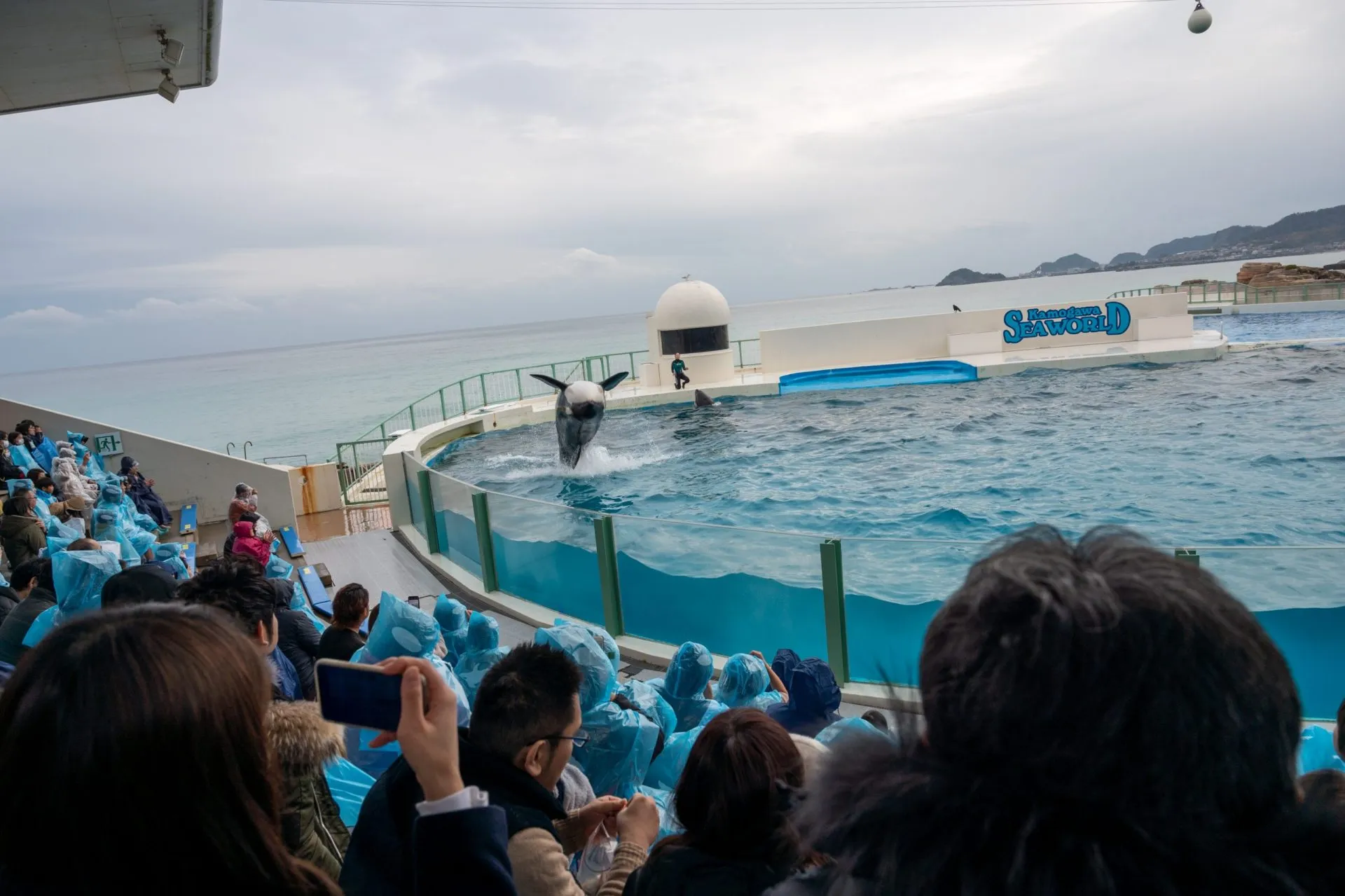 鴨川シーワールドの展示