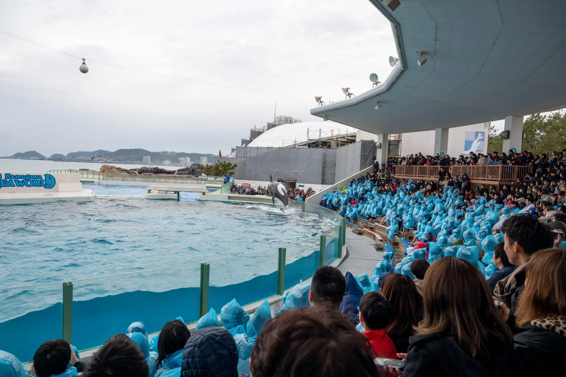 鴨川シーワールドの展示