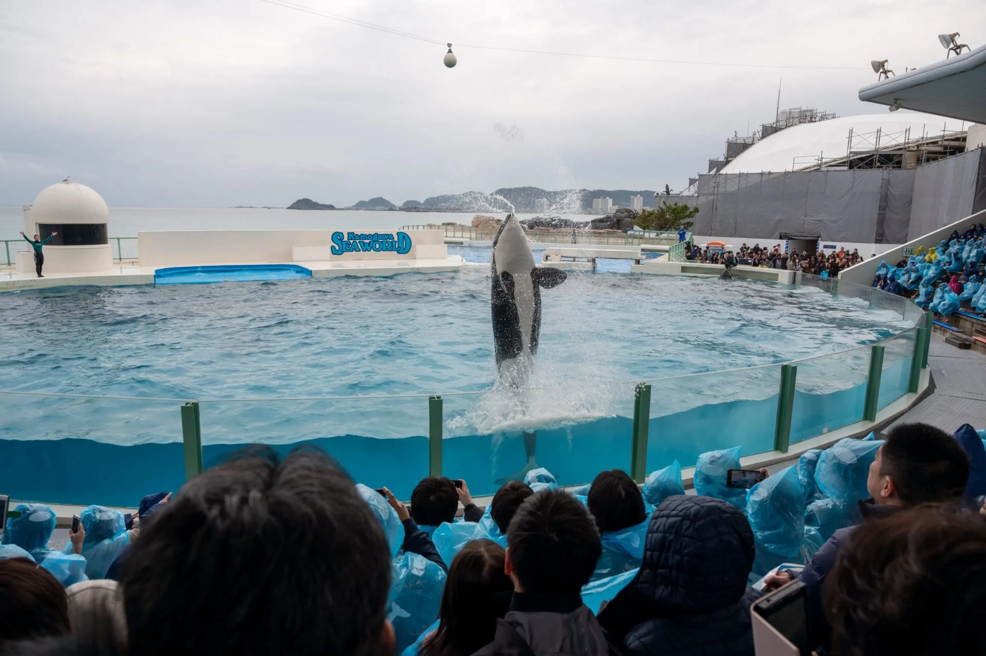 鴨川シーワールドの展示