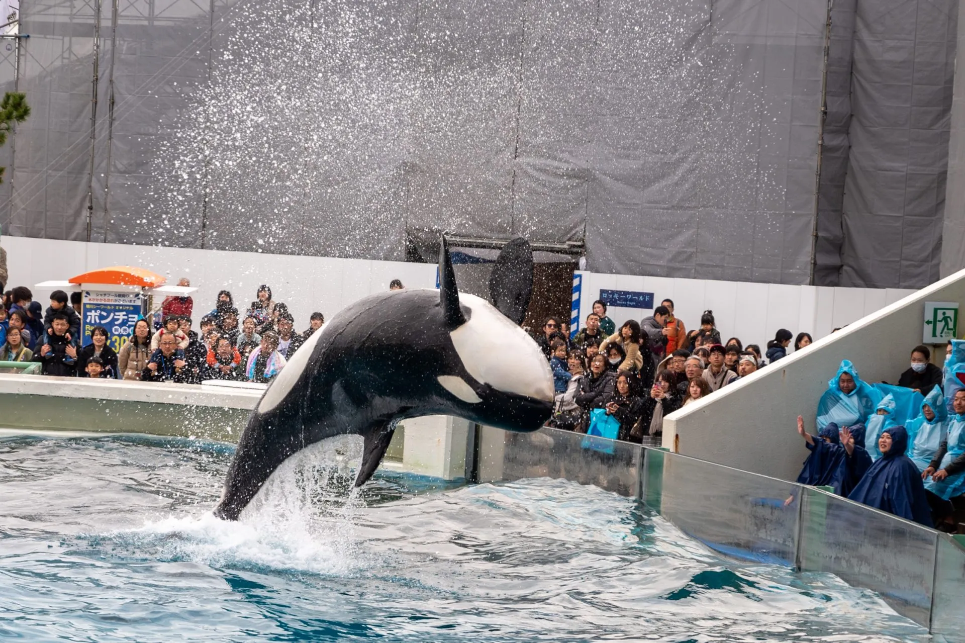 鴨川シーワールドの展示