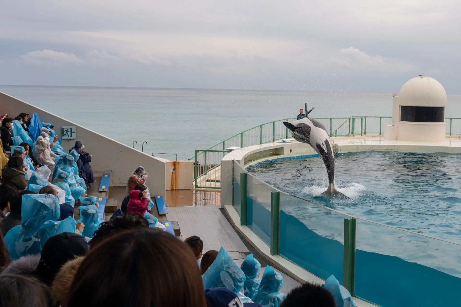 鴨川シーワールドの展示