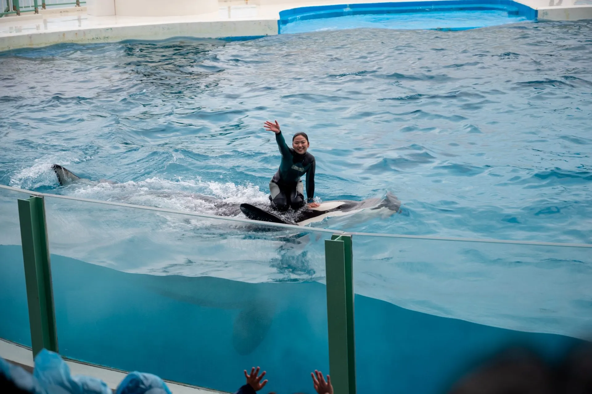 鴨川シーワールドの展示
