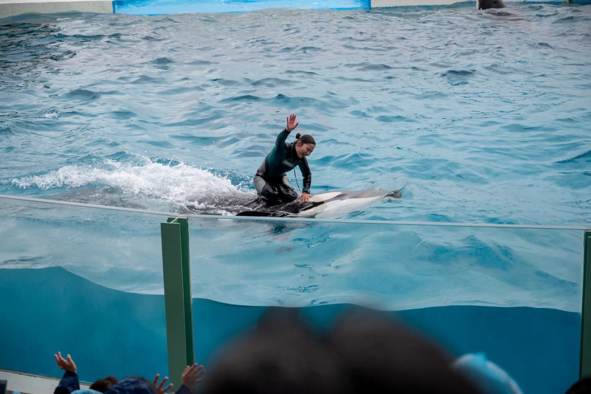 鴨川シーワールドの展示
