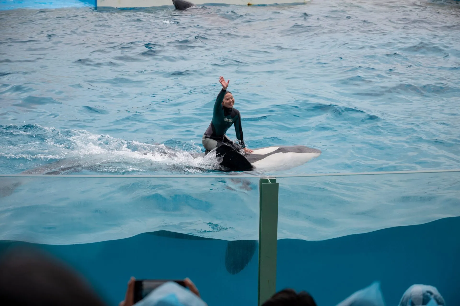 鴨川シーワールドの展示
