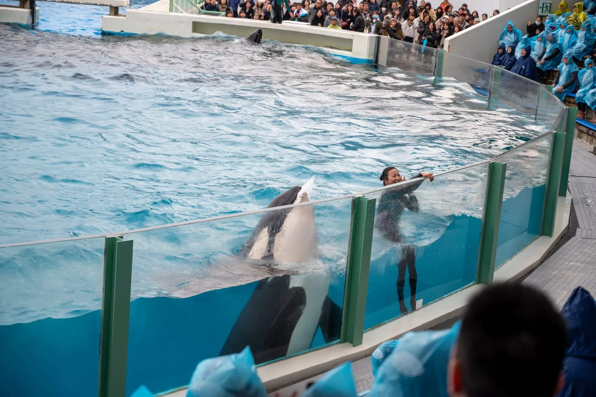 鴨川シーワールドの展示