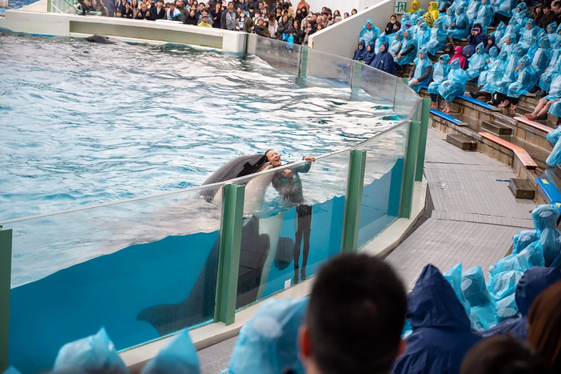 鴨川シーワールドの展示