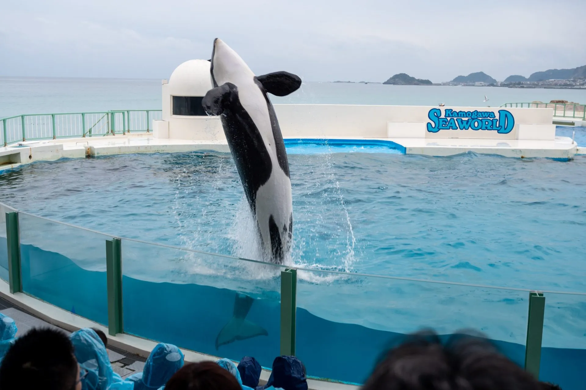鴨川シーワールドの展示