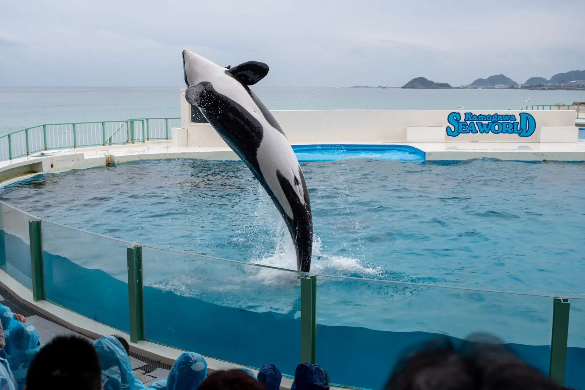 鴨川シーワールドの展示